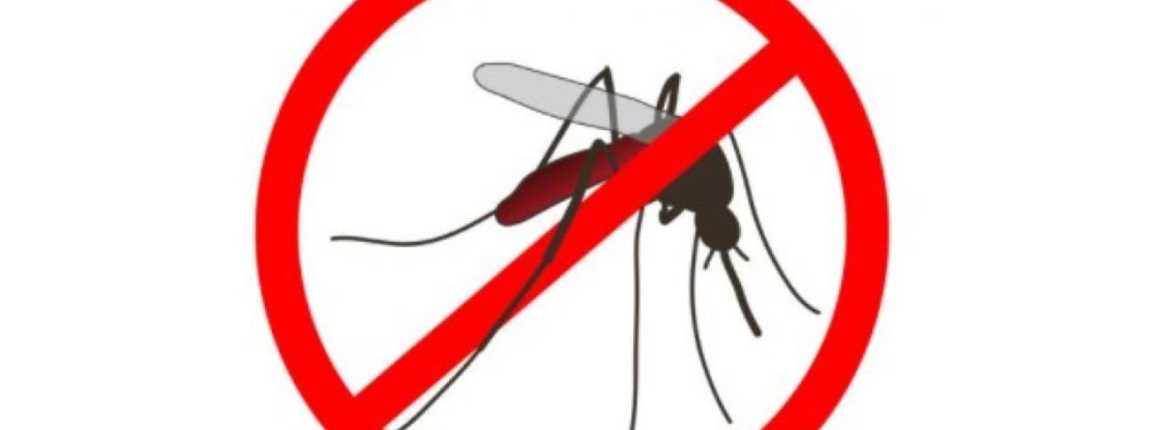 Obavijest o dezinsekciji komaraca na području Grada Kutine