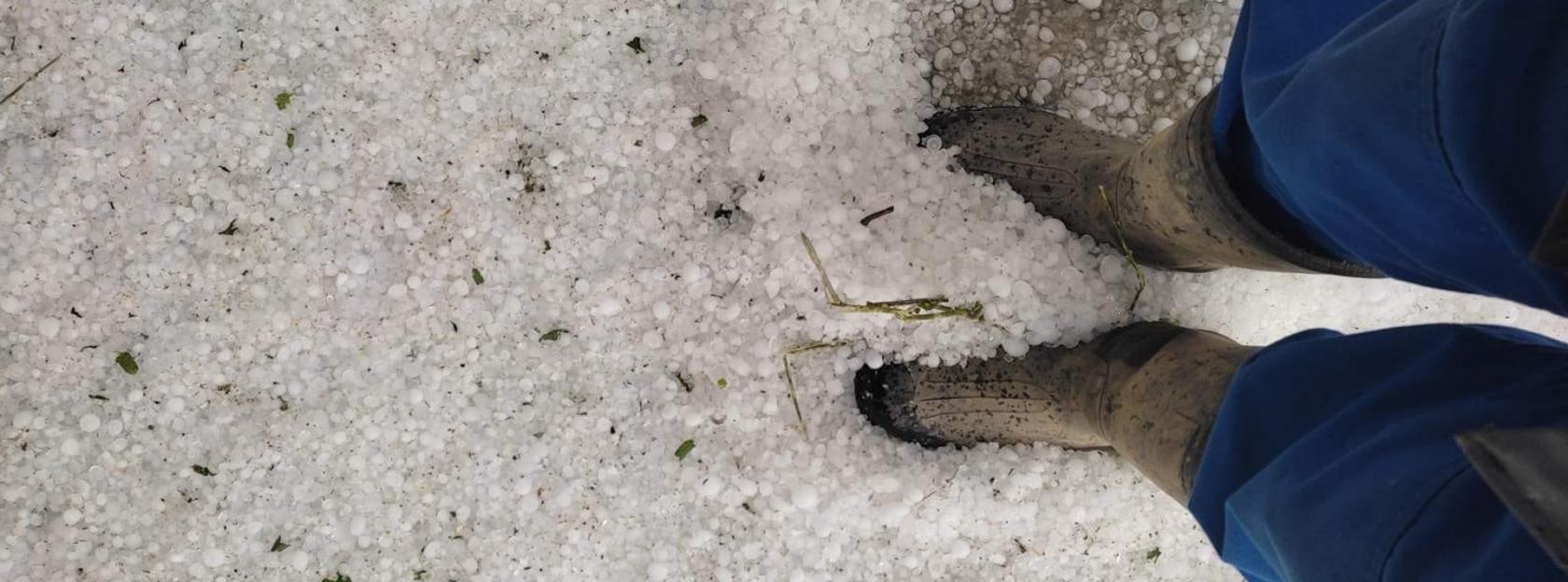 Proglašena prirodna nepogoda – Tuča